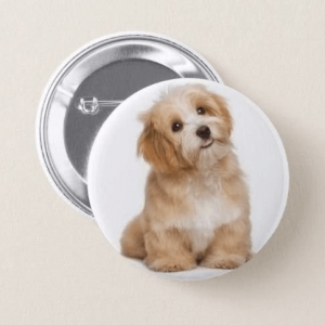 Kit com 20 Boton Bottons Personzalizado Pet – Tamanho 3.8cm